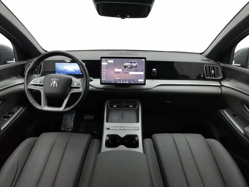 BYD Pro New Energy — миниатюра 5