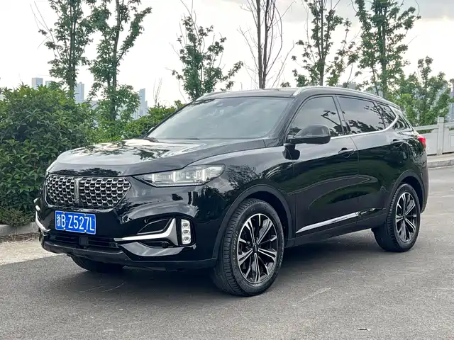 2021 Wey VV6