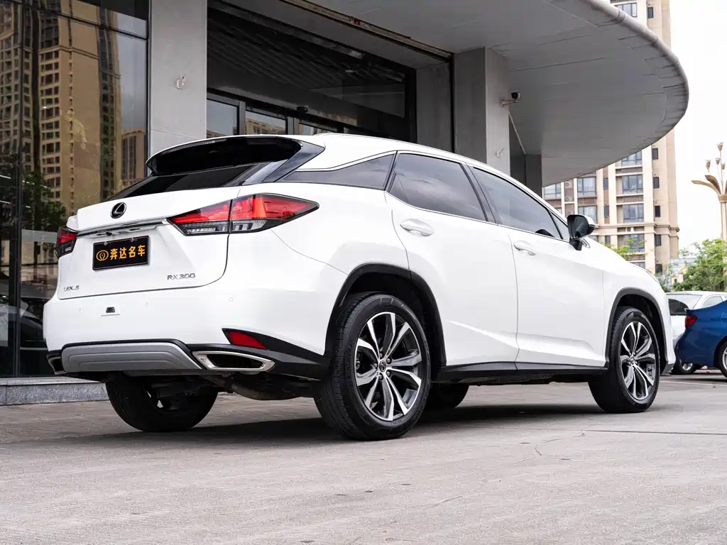 Lexus RX 2020 300 Elegant VI