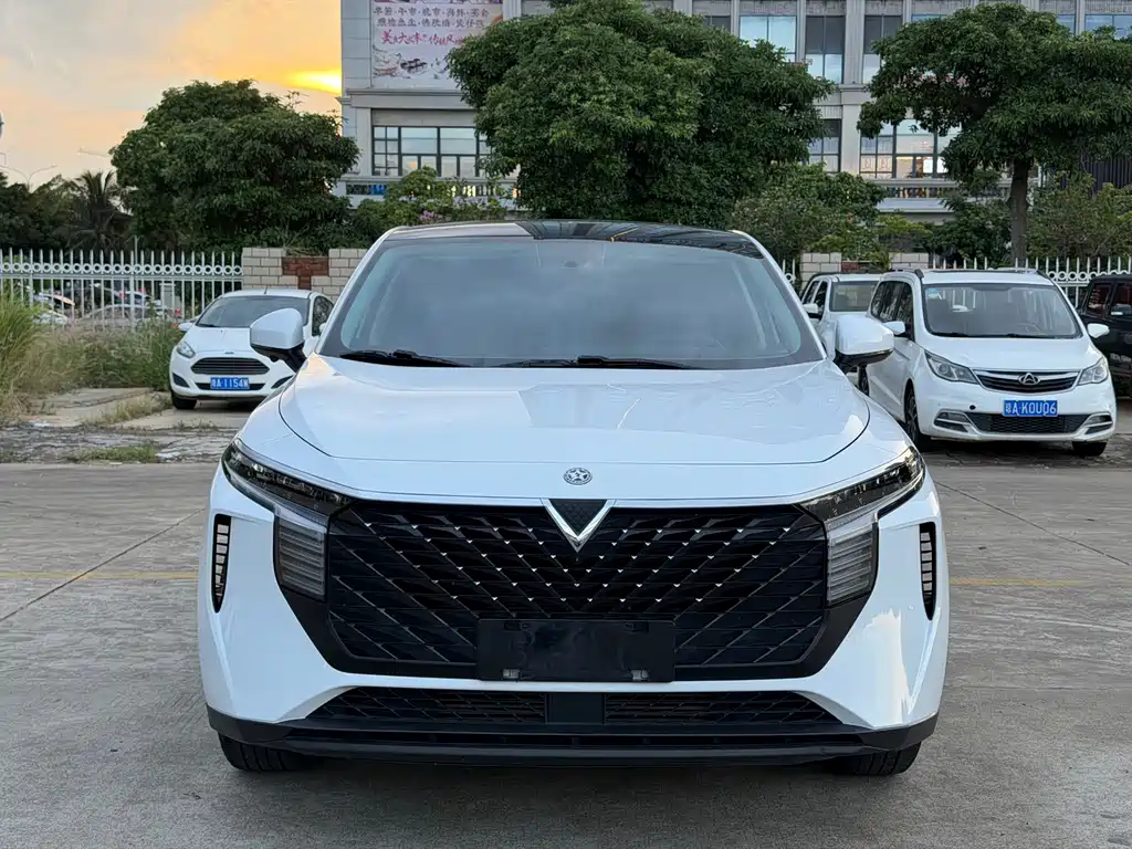 Venucia V — миниатюра 2