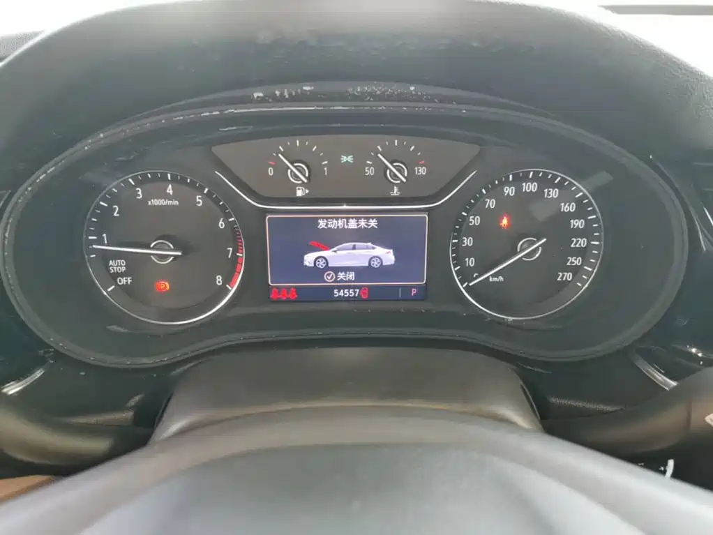 Buick Regal — миниатюра 12