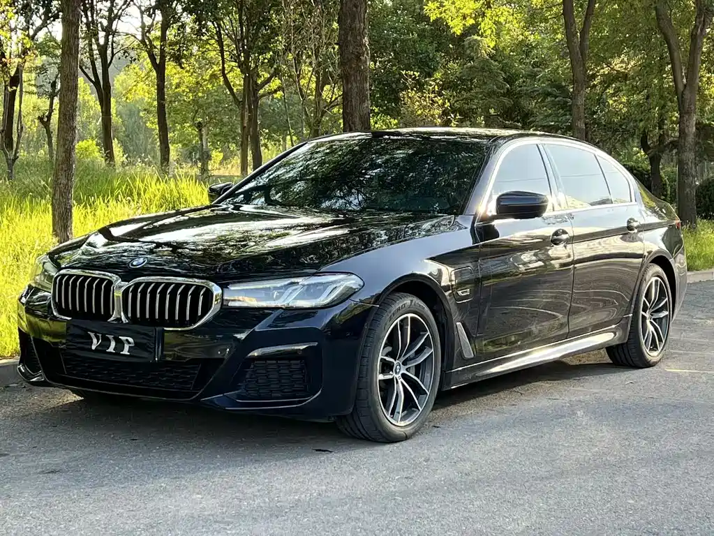 BMW  5 SERIES NEW ENERGY