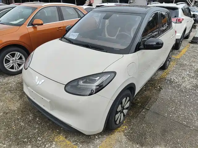 2024 Wuling Motors Binguo