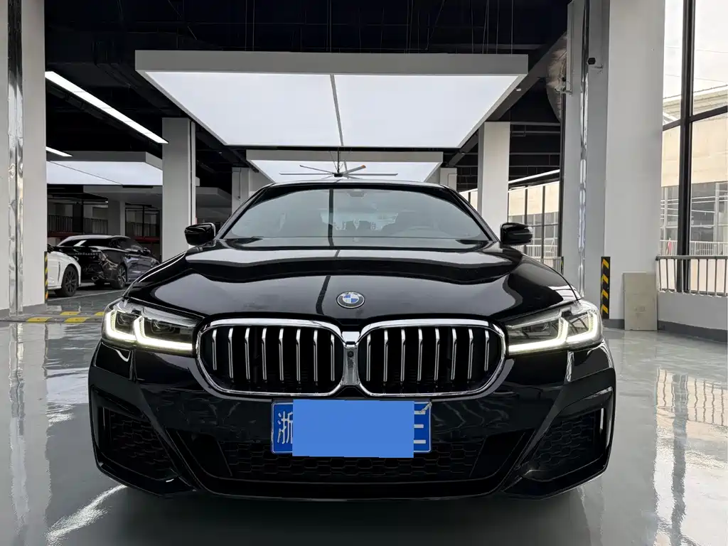 BMW 5 Series — миниатюра 2