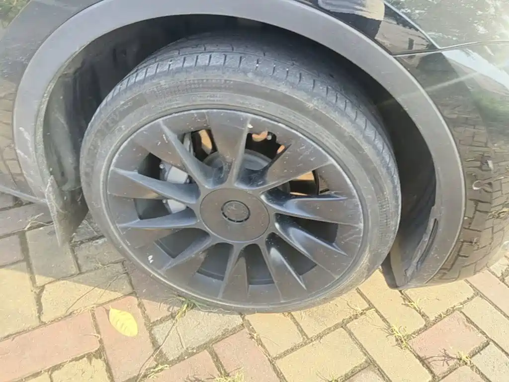 Tesla Model Y — миниатюра 12