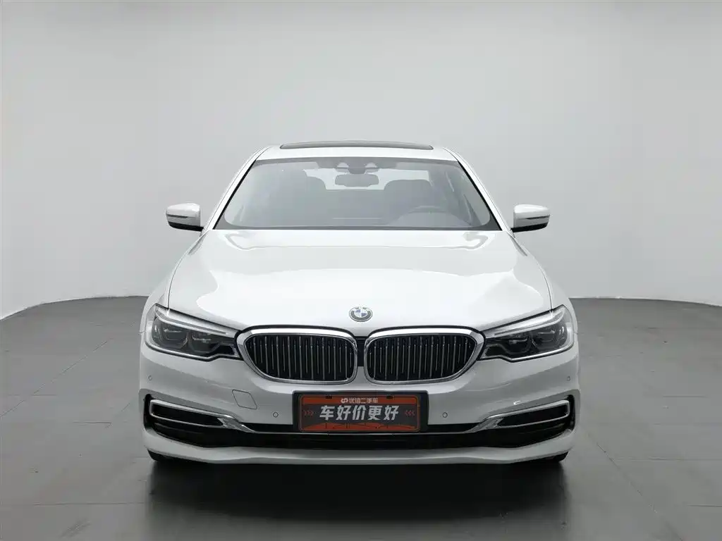 BMW 5 Series 5 2020 530Le Luxury