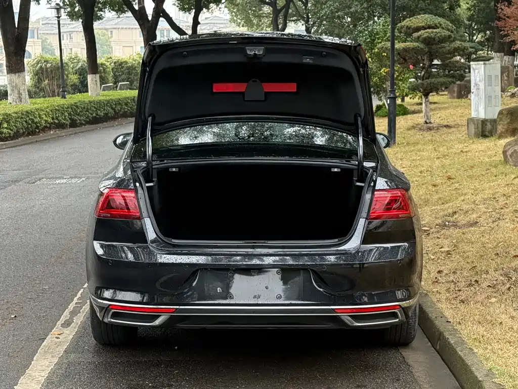 Volkswagen Magotan 2020 330TSI DSG Luxury