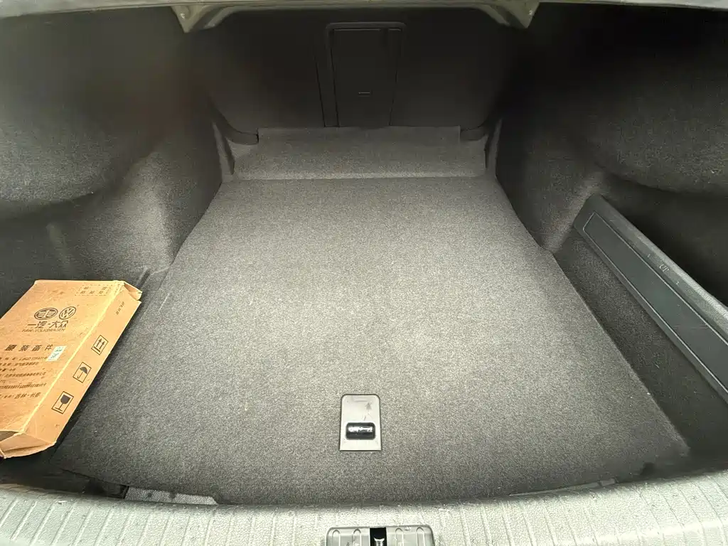 Volkswagen Magotan 2020 330TSI DSG Luxury