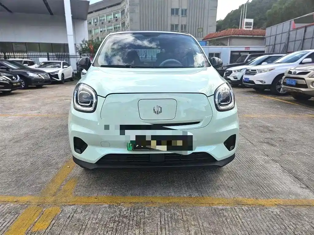 Leapmotor T03 2024 310