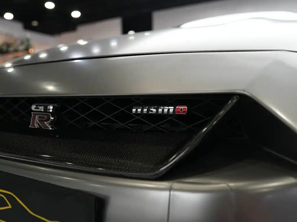 Nissan GT-R — миниатюра 33