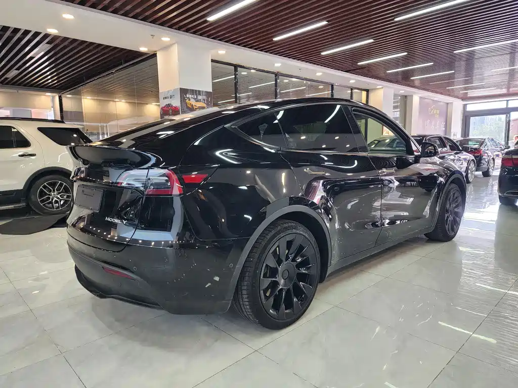 Tesla Model Y — миниатюра 6