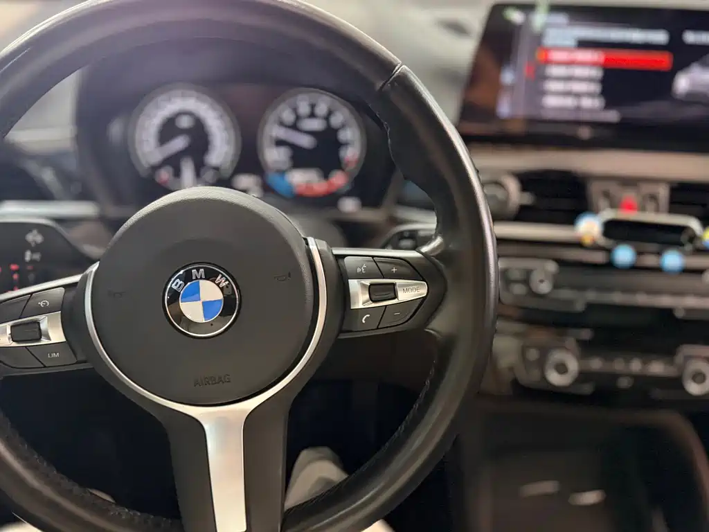 BMW X1 — миниатюра 6