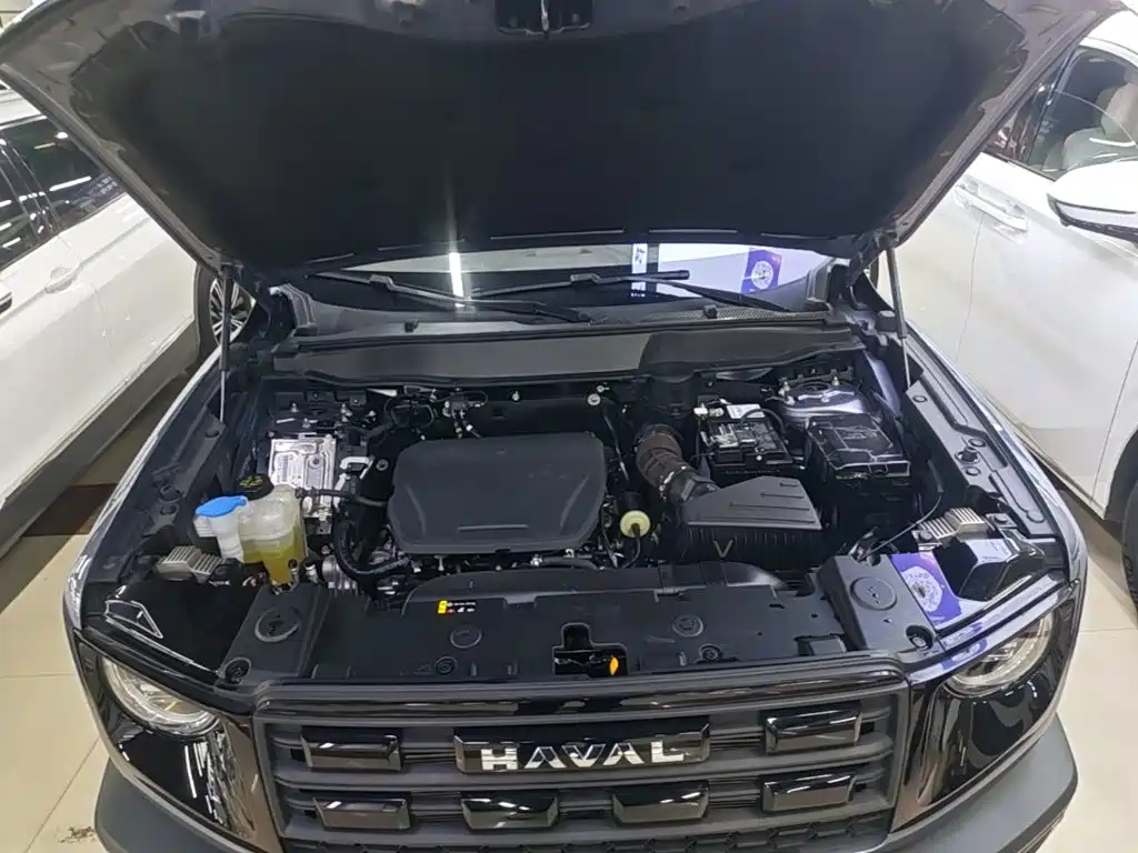 Haval 长城大狗 — миниатюра 20