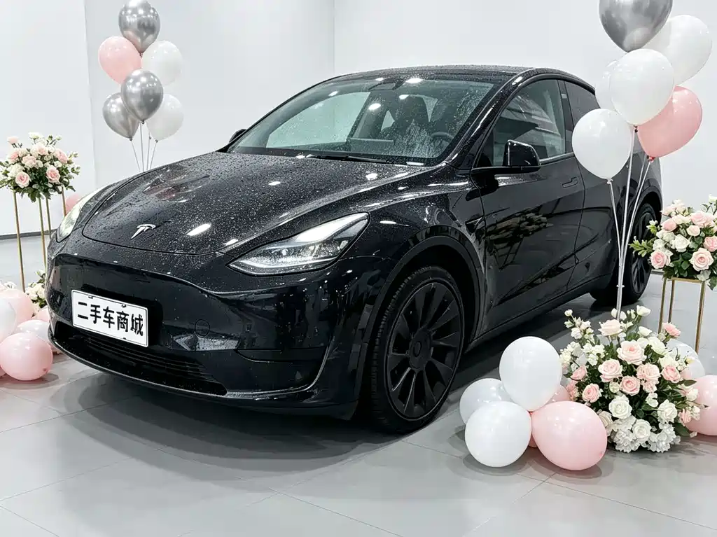 Tesla Model Y 2022