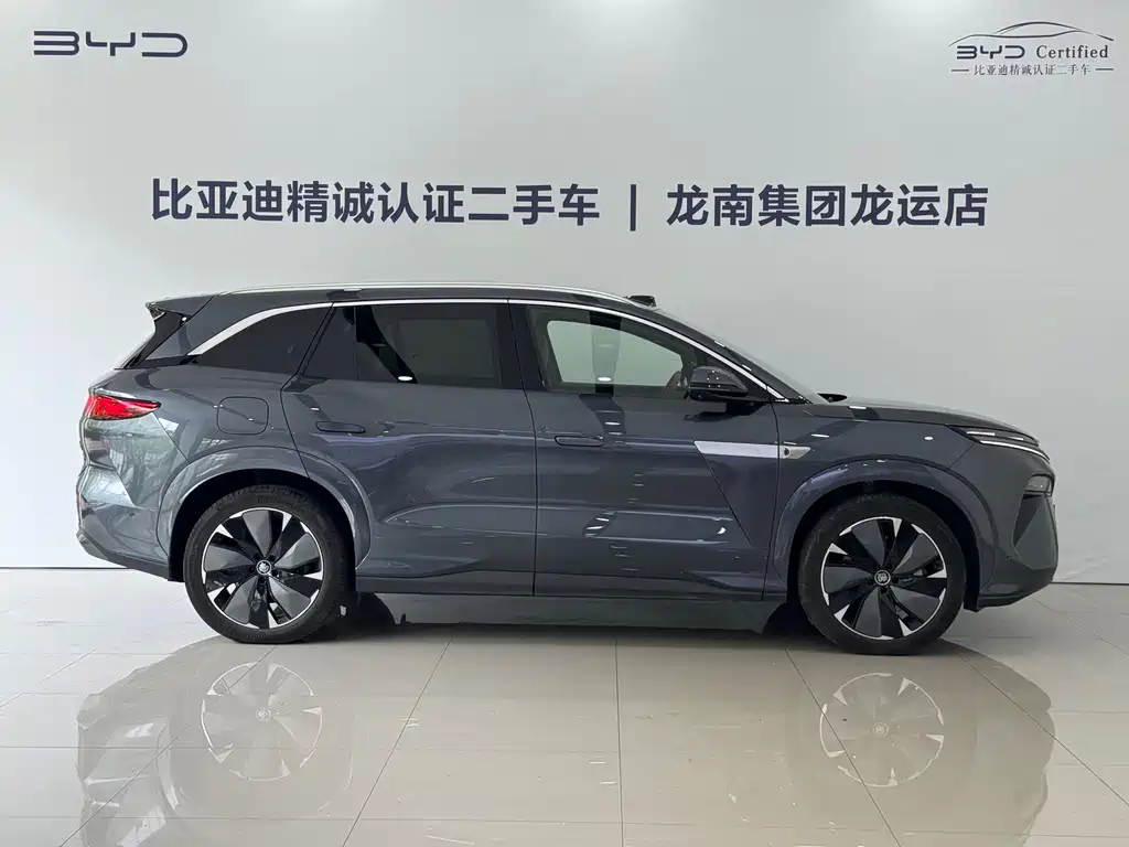 BYD Дон Л. — миниатюра 10