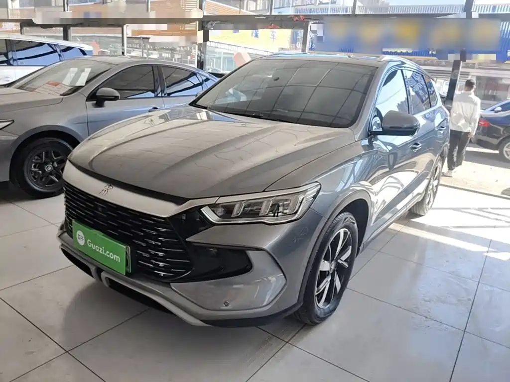 BYD Pro New Energy