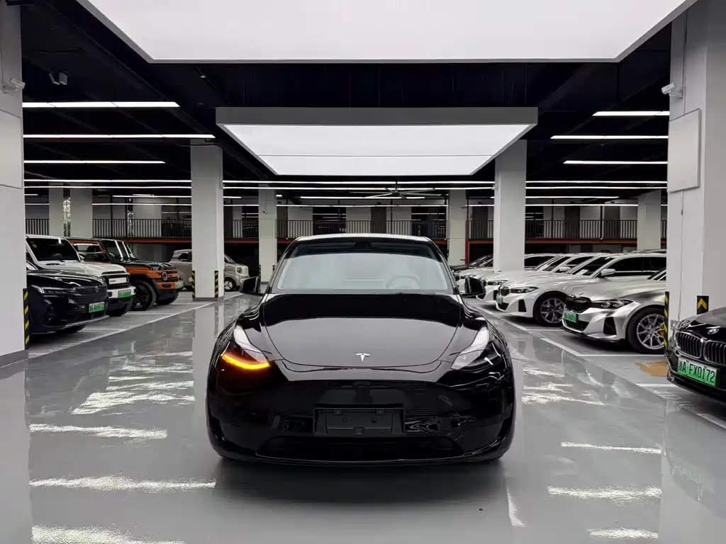 Tesla Model Y — миниатюра 2