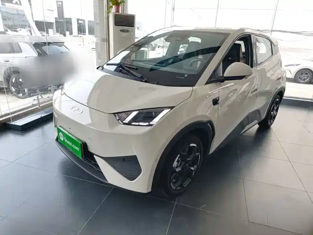 2026 BYD Seagull