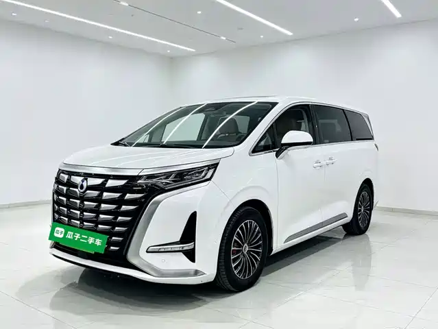 2023 Denza D9