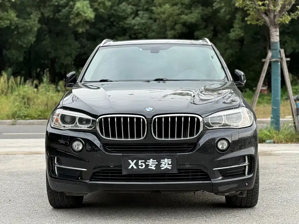 BMW X5 (Import) — миниатюра 2