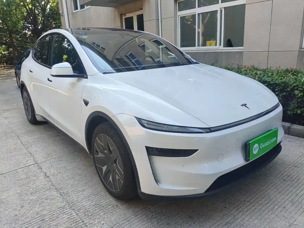 Tesla Model Y L — миниатюра 4