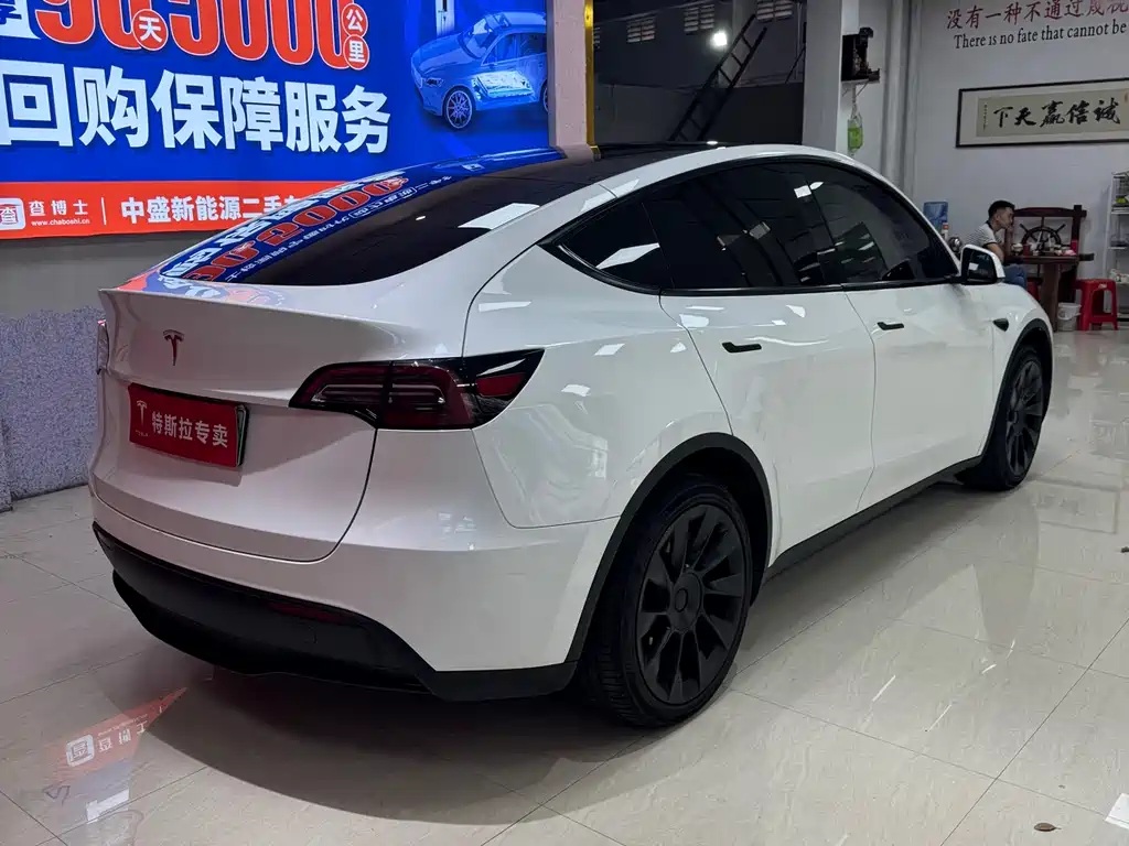 Tesla Model Y — миниатюра 10