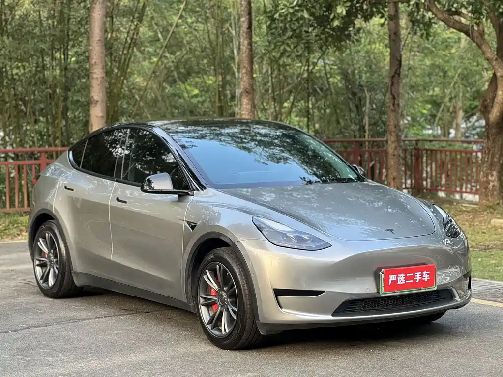 Tesla Model Y — миниатюра 3