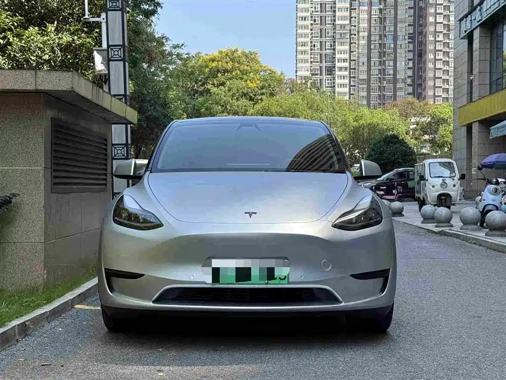 Tesla Model Y — миниатюра 2