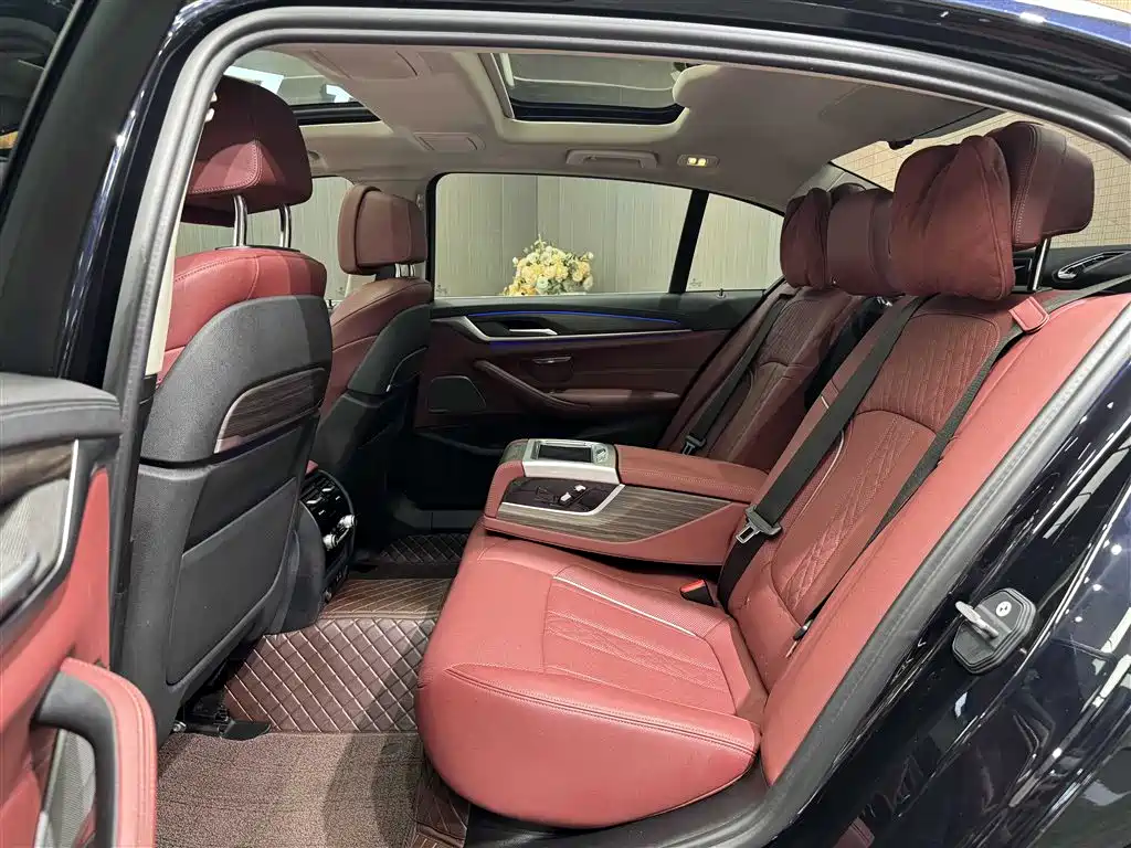 BMW 5 Series 5 2021 530Li Premium Luxury