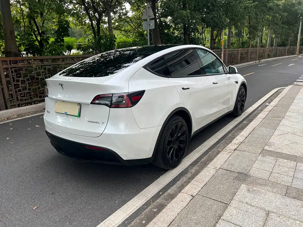Tesla Model Y — миниатюра 6