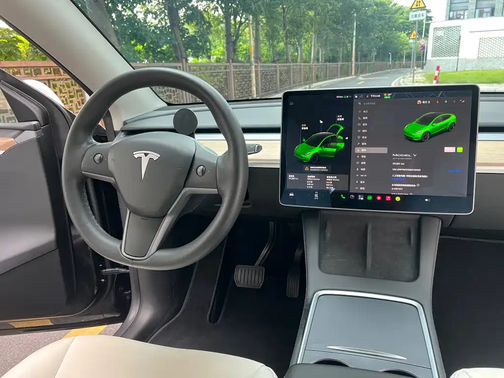 Tesla Model Y — миниатюра 16