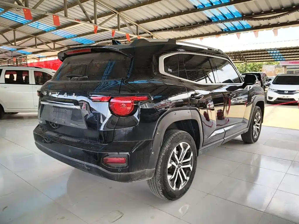 Haval Big Dog PLUS — миниатюра 7