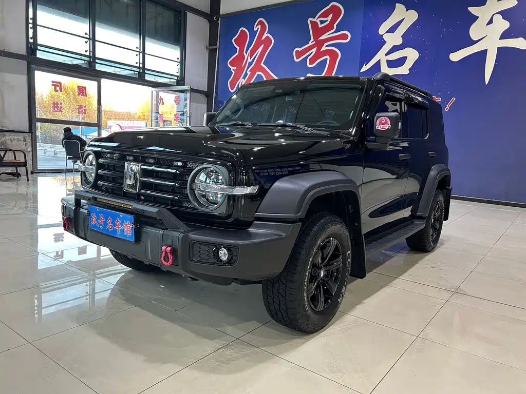 Tank 300