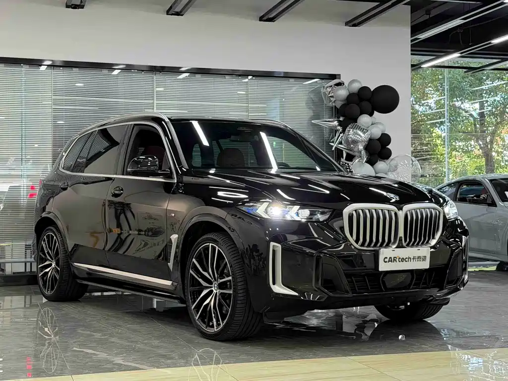BMW X5 — миниатюра 3