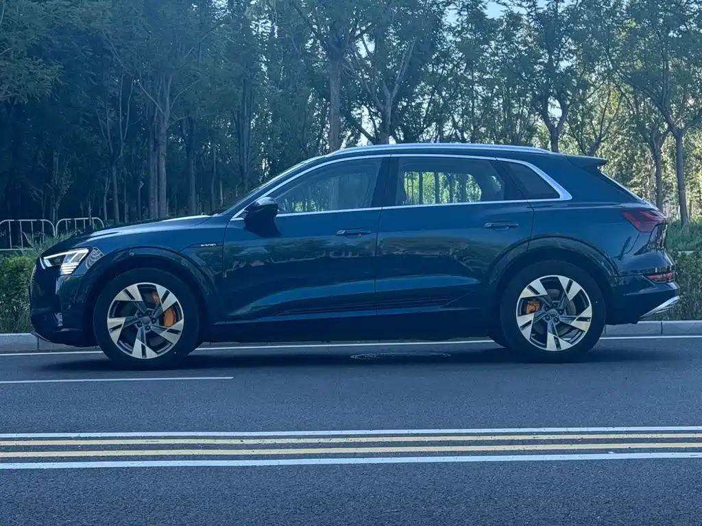 Audi e-tron (Import) — миниатюра 3
