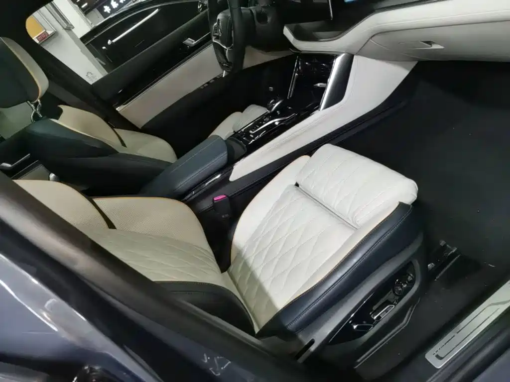 BYD Tang New Energy — миниатюра 25