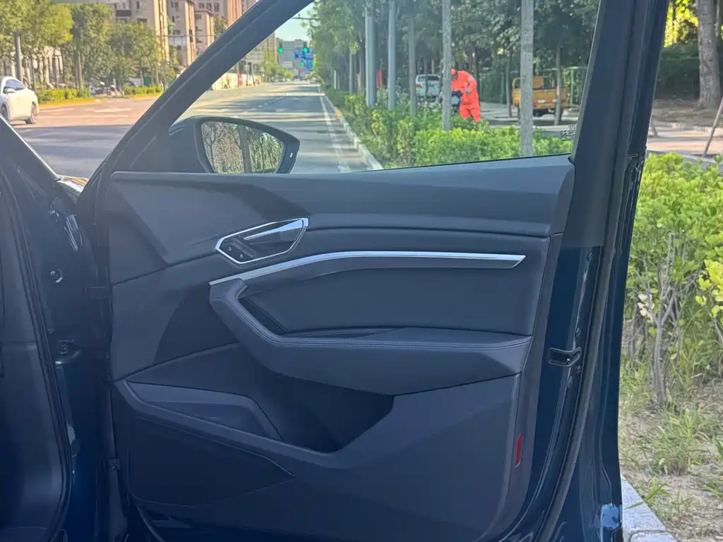 Audi e-tron (Import) — миниатюра 18