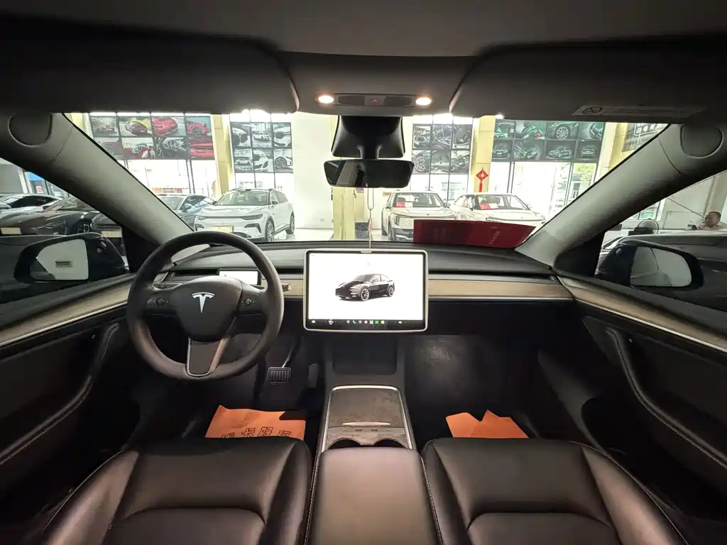 Tesla Model Y — миниатюра 9