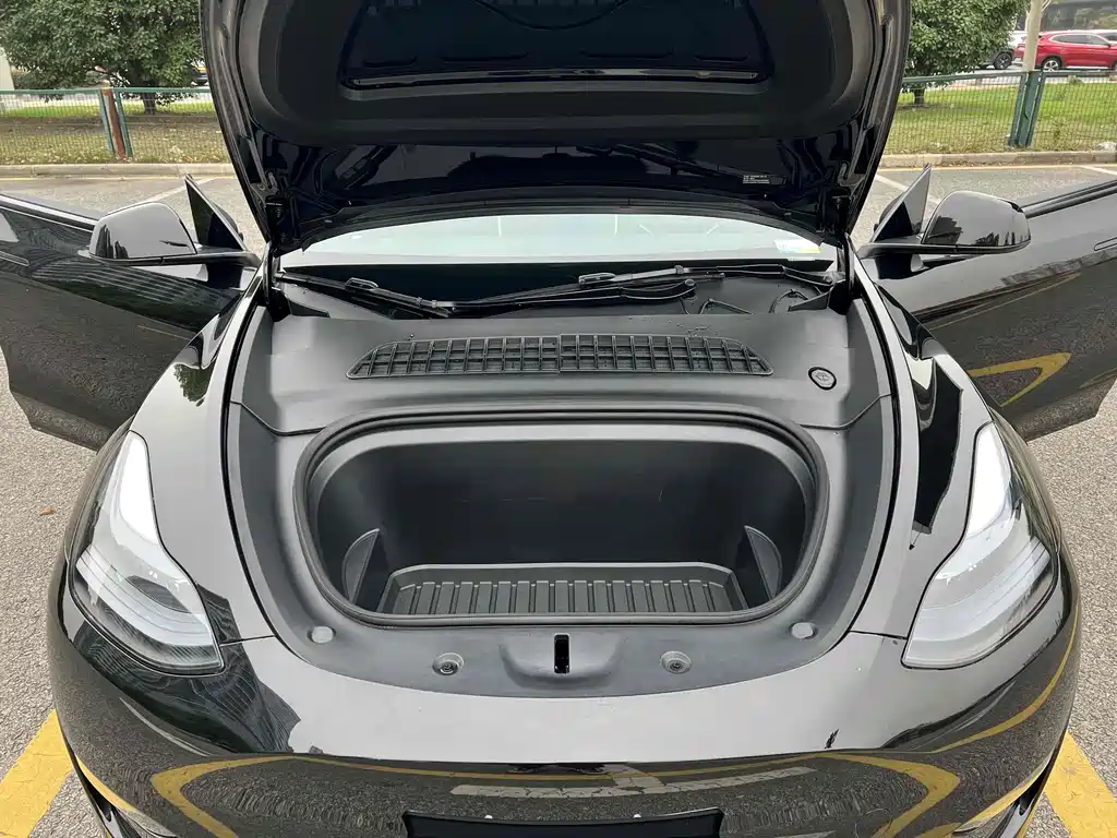 Tesla Model Y — миниатюра 25