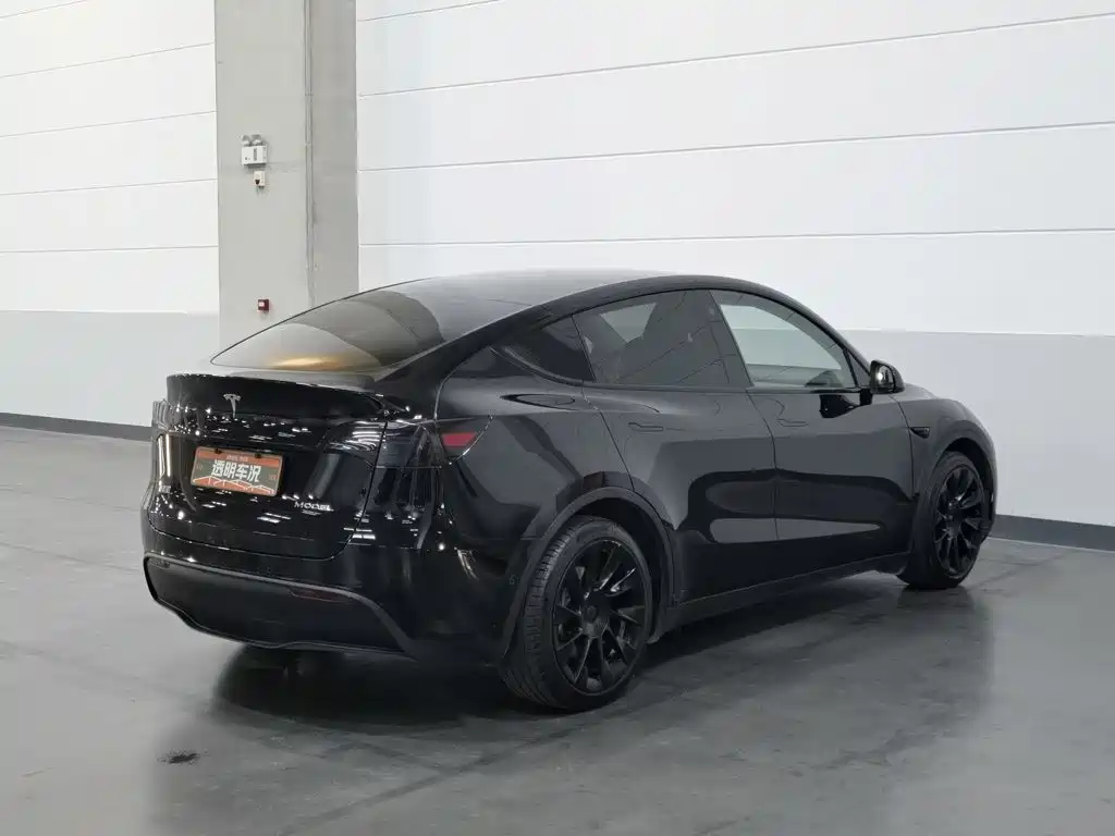 Tesla Model Y — миниатюра 2