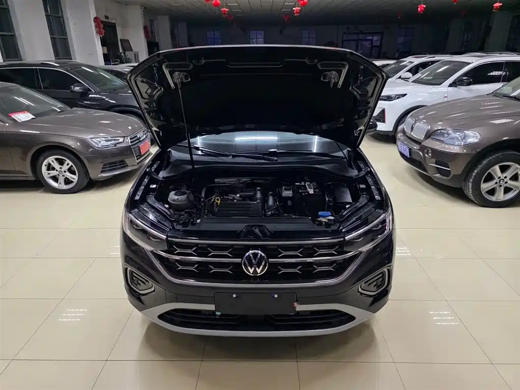 VOLKSWAGEN TANYUE