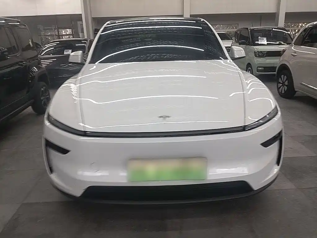 Tesla Model Y — миниатюра 3