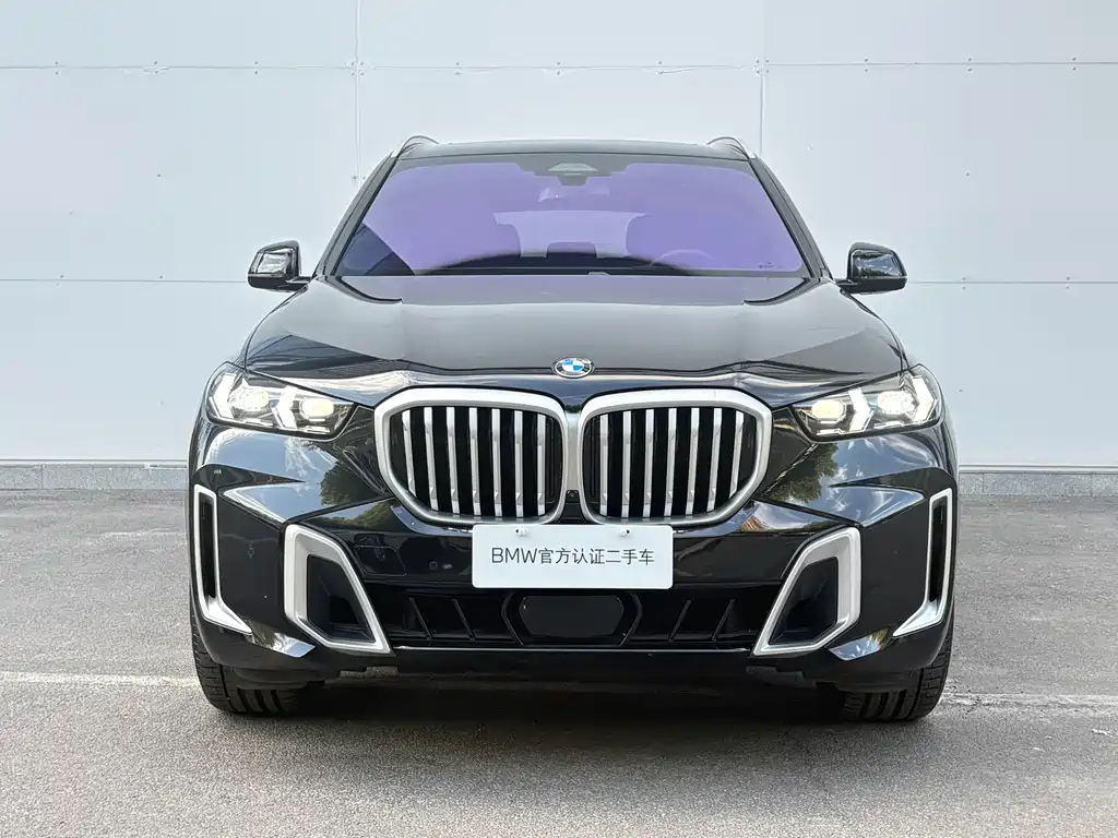 BMW X5 — миниатюра 2