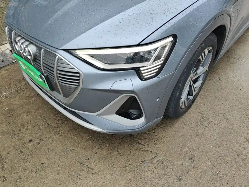 Audi e-tron — миниатюра 24