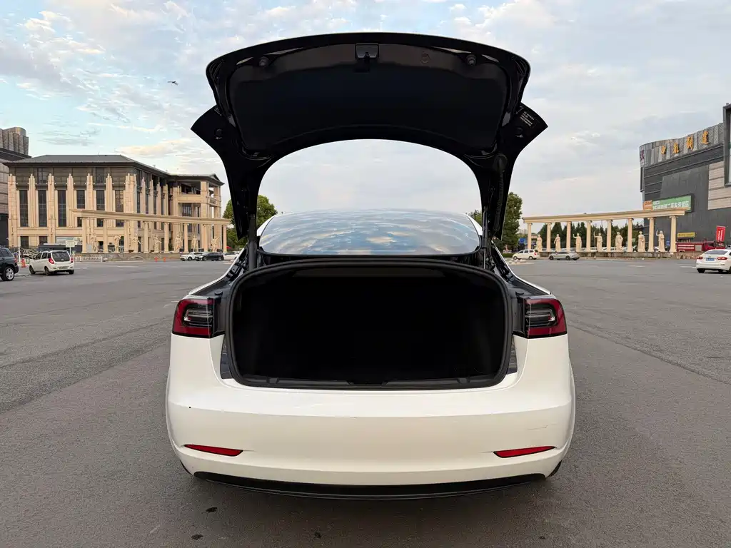 Tesla Model 3 — миниатюра 15