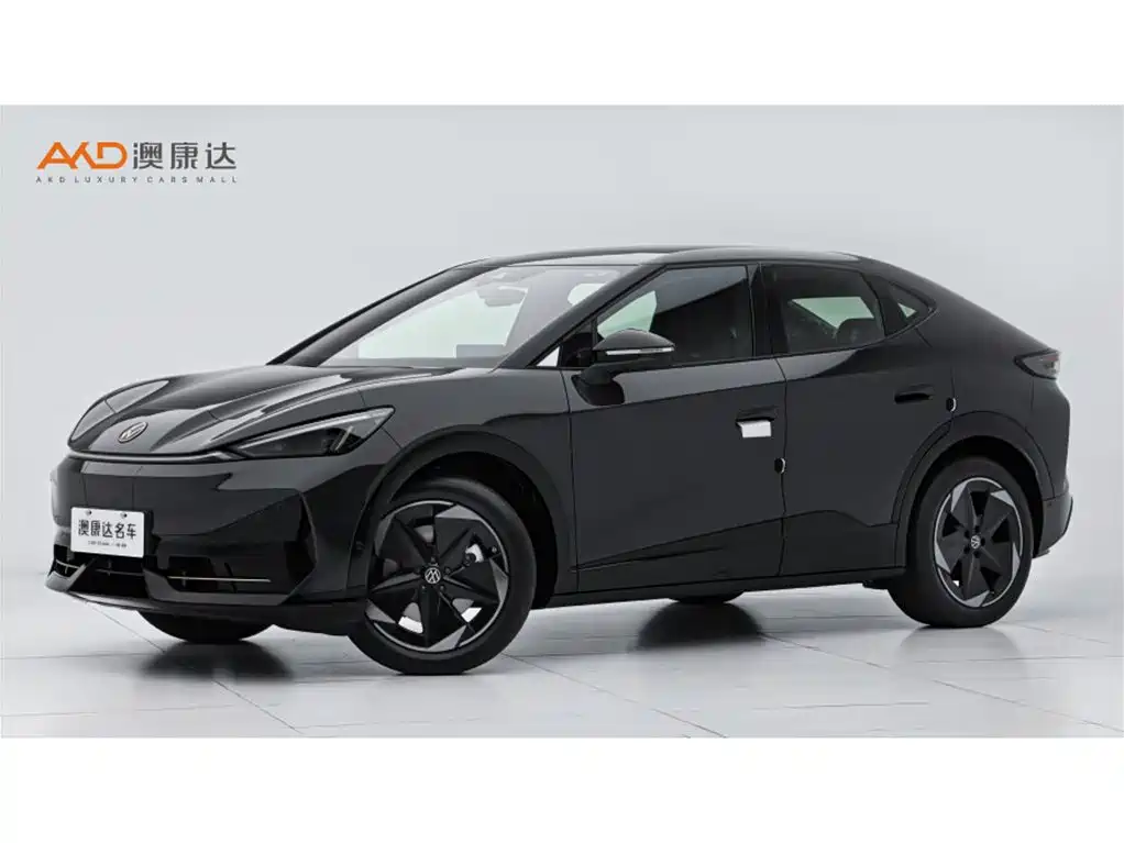 VOLKSWAGEN WITH THE CROWD 06