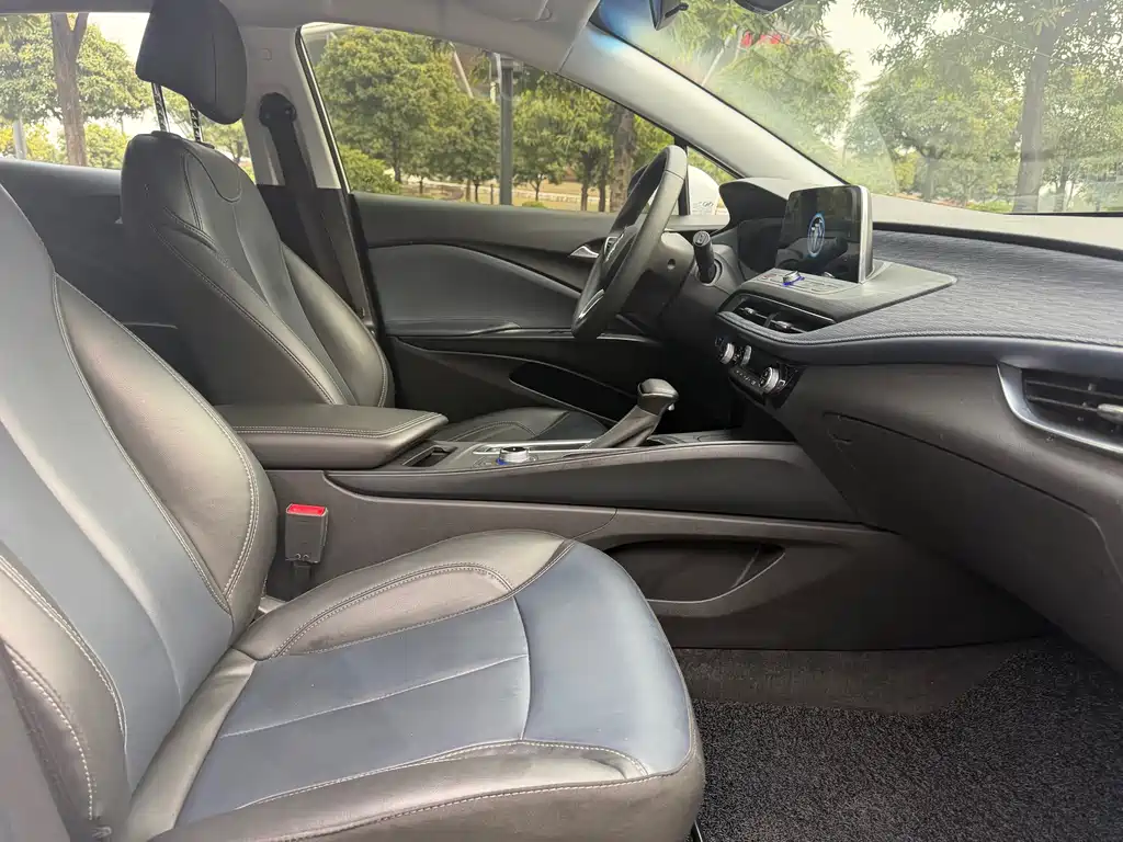 BUICK SLIGHTLY BLUE 6