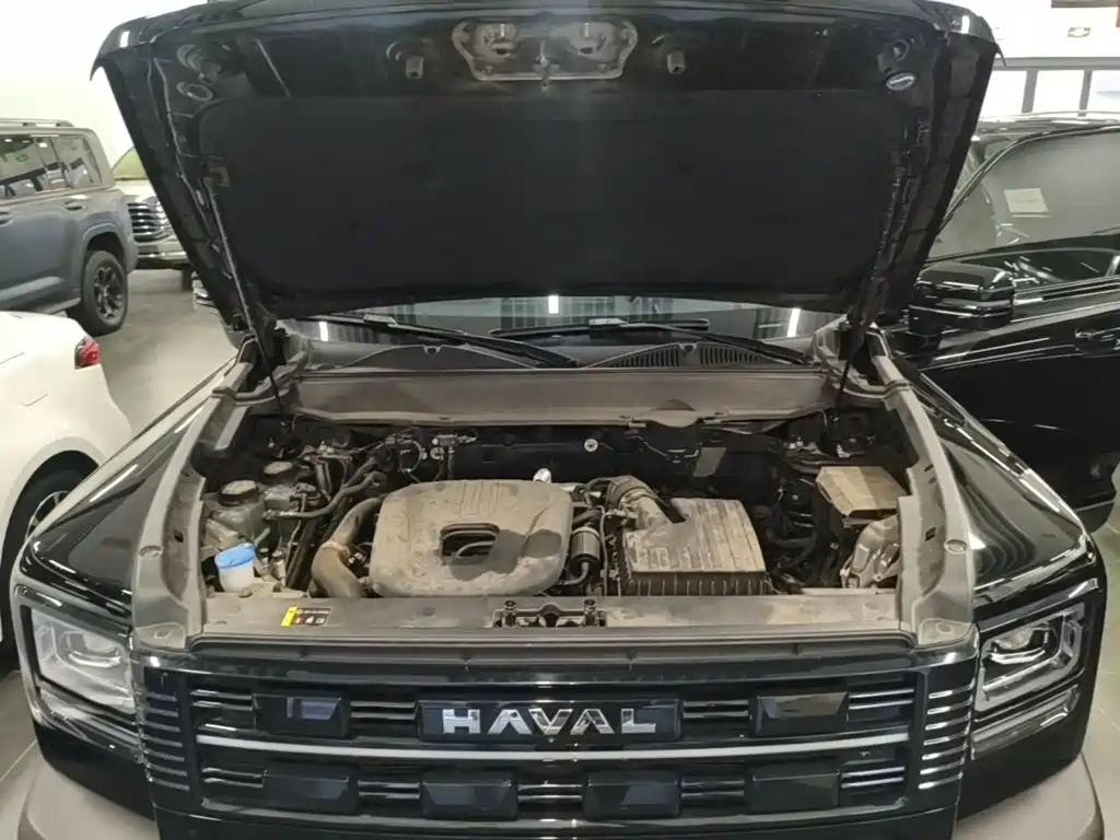Haval Menglong New Energy — миниатюра 20