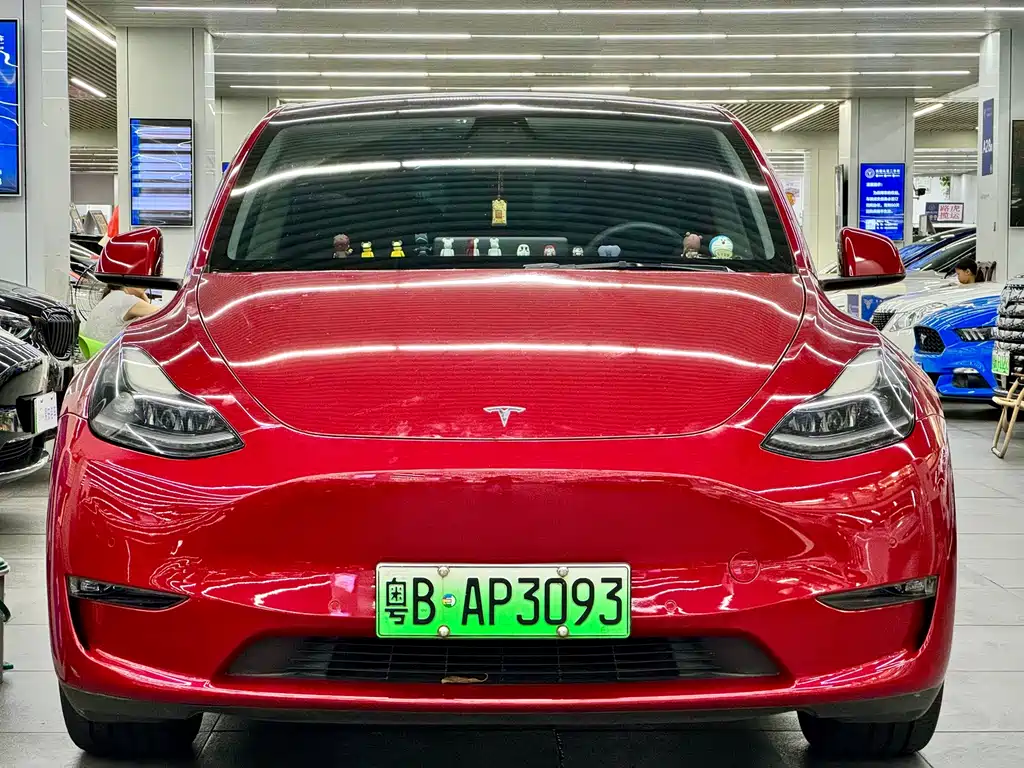 Tesla Model Y — миниатюра 2
