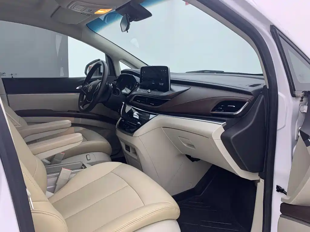 Buick GL8 — миниатюра 12